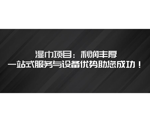濕巾項(xiàng)目：利潤豐厚，一站式服務(wù)與設(shè)備優(yōu)勢助您成功！